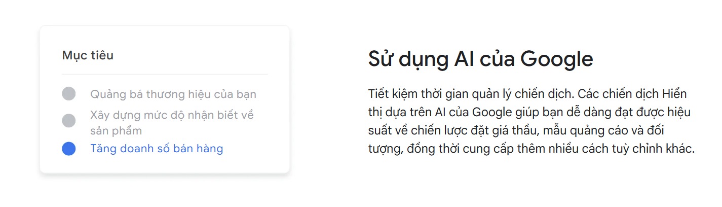 google display network có AI